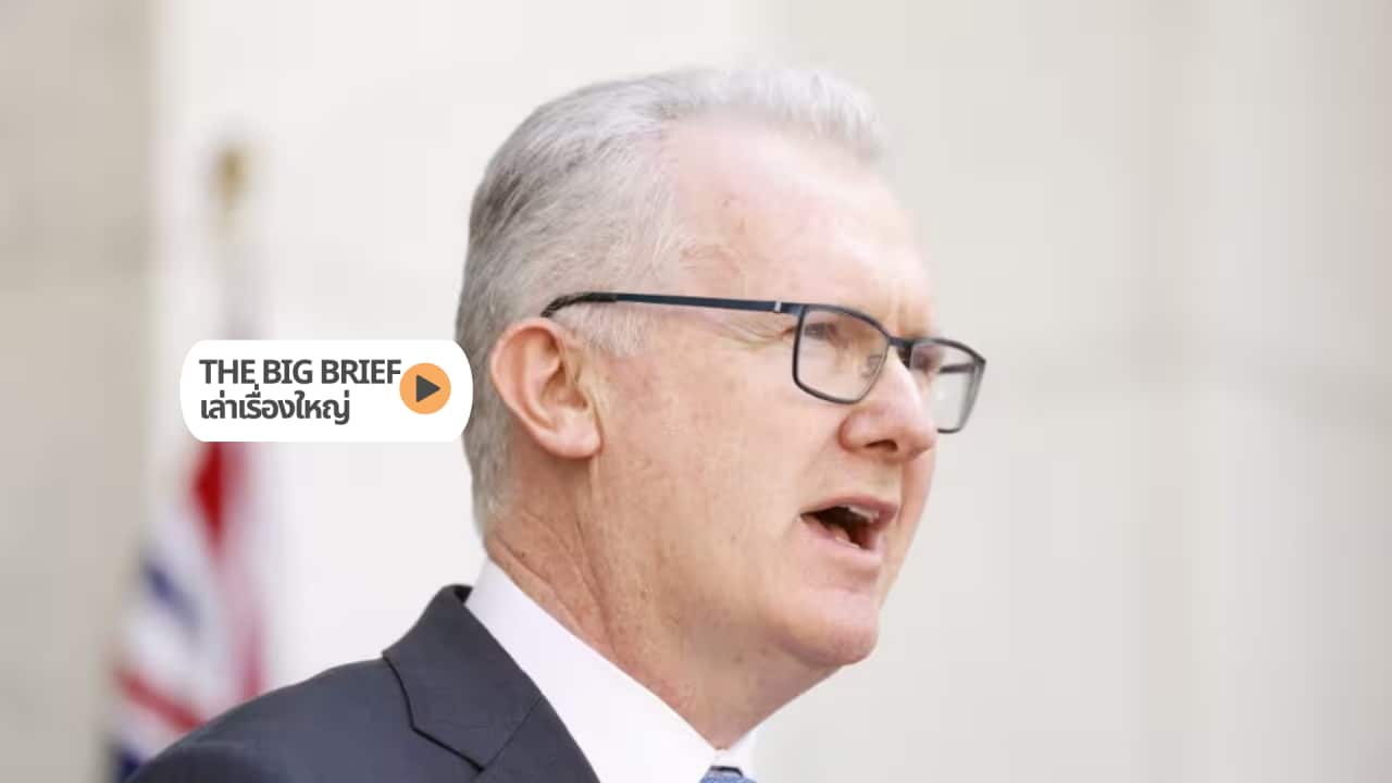 The Big Brief HEADER (4).png