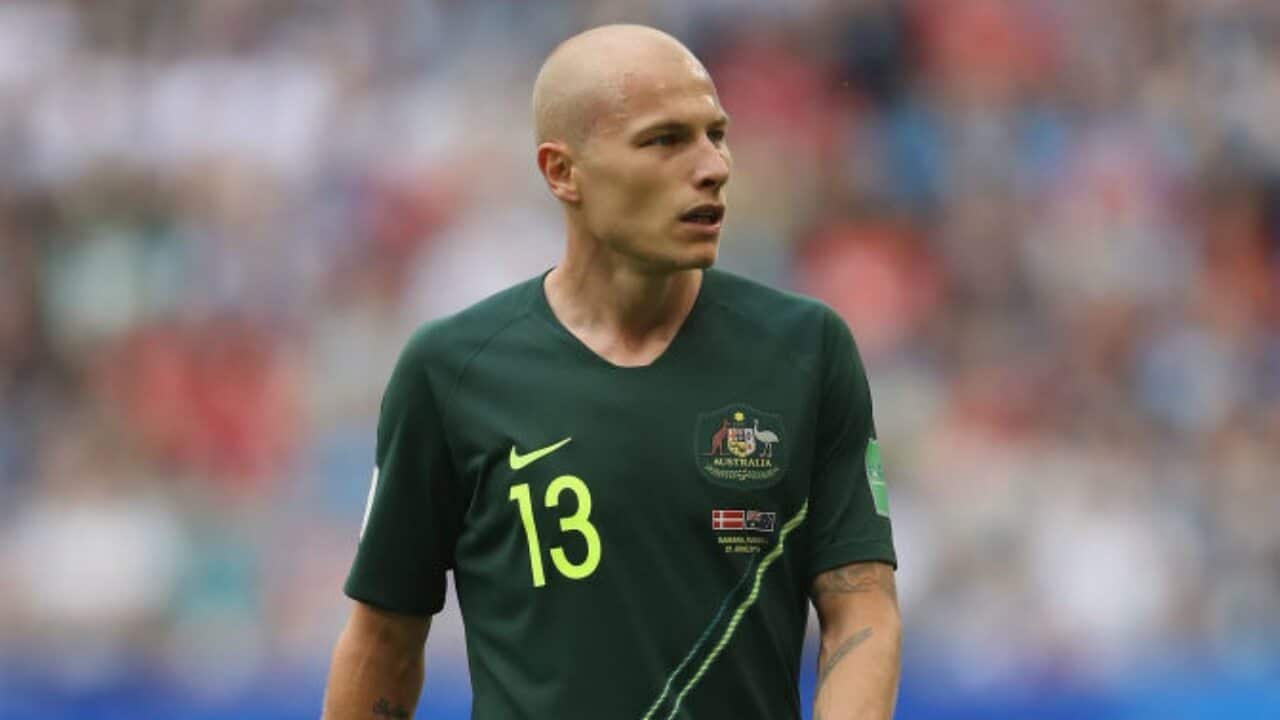Mooy