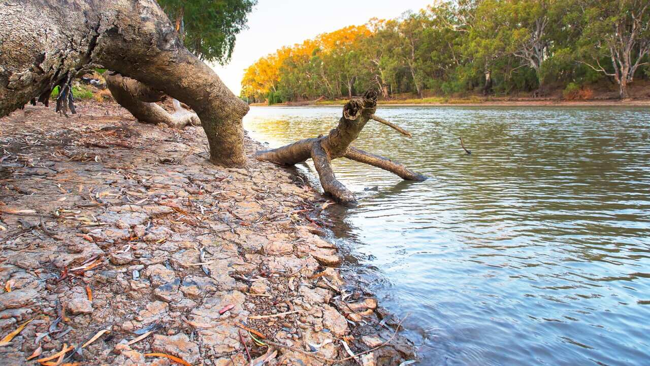 Climate change is forming the foundation for a new independent study of the Murray-Darling basin.