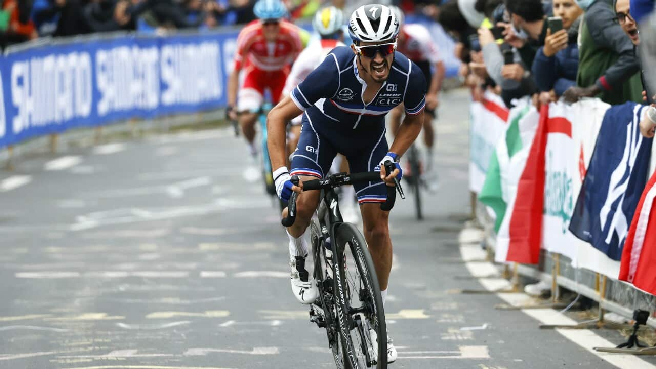 Julian Alaphilippe