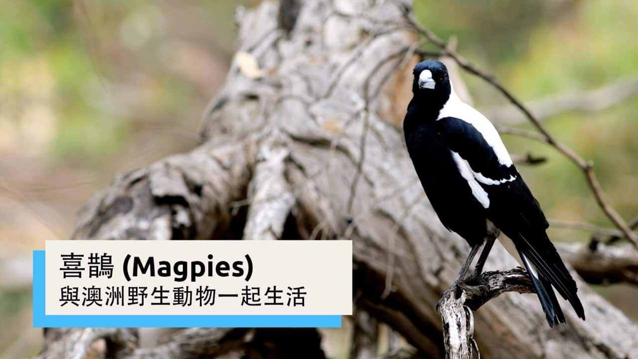 Image for read more article '相關新聞'