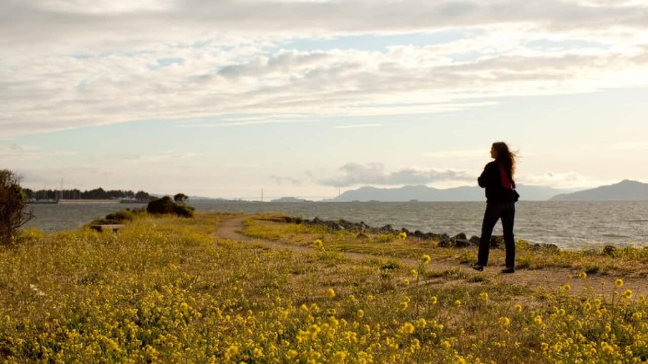 Woman Looking at San Francisco Bay