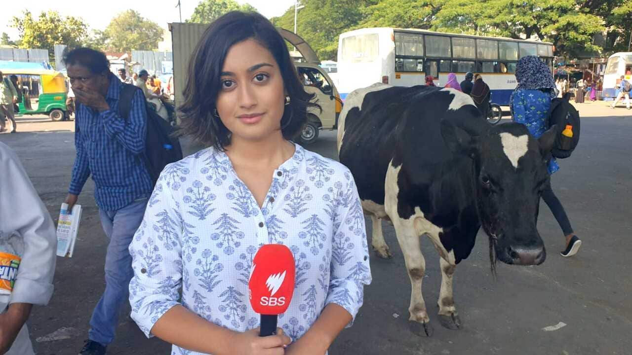 SBS TV to cover Wayanad election