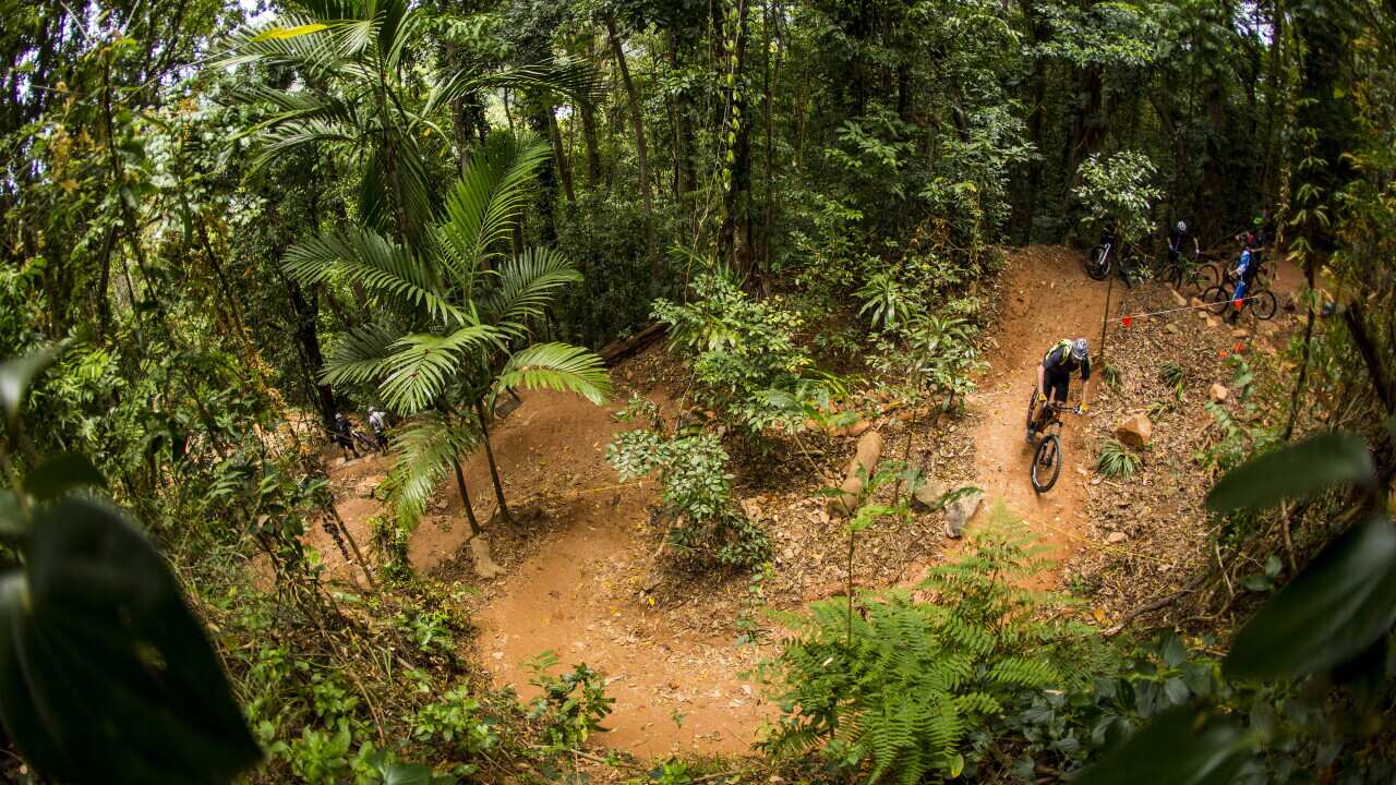 Riders practice for the weekend's racing on Smithfields tropical jungle trails