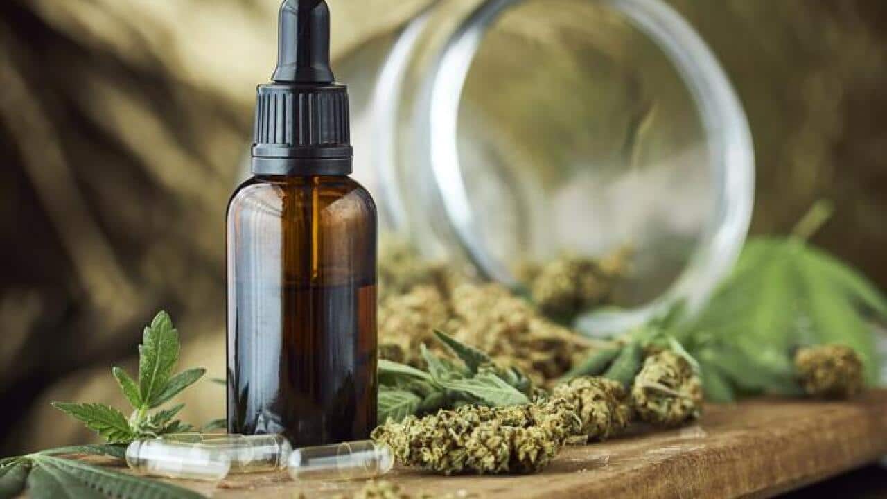 marihuana lecznica.jpg