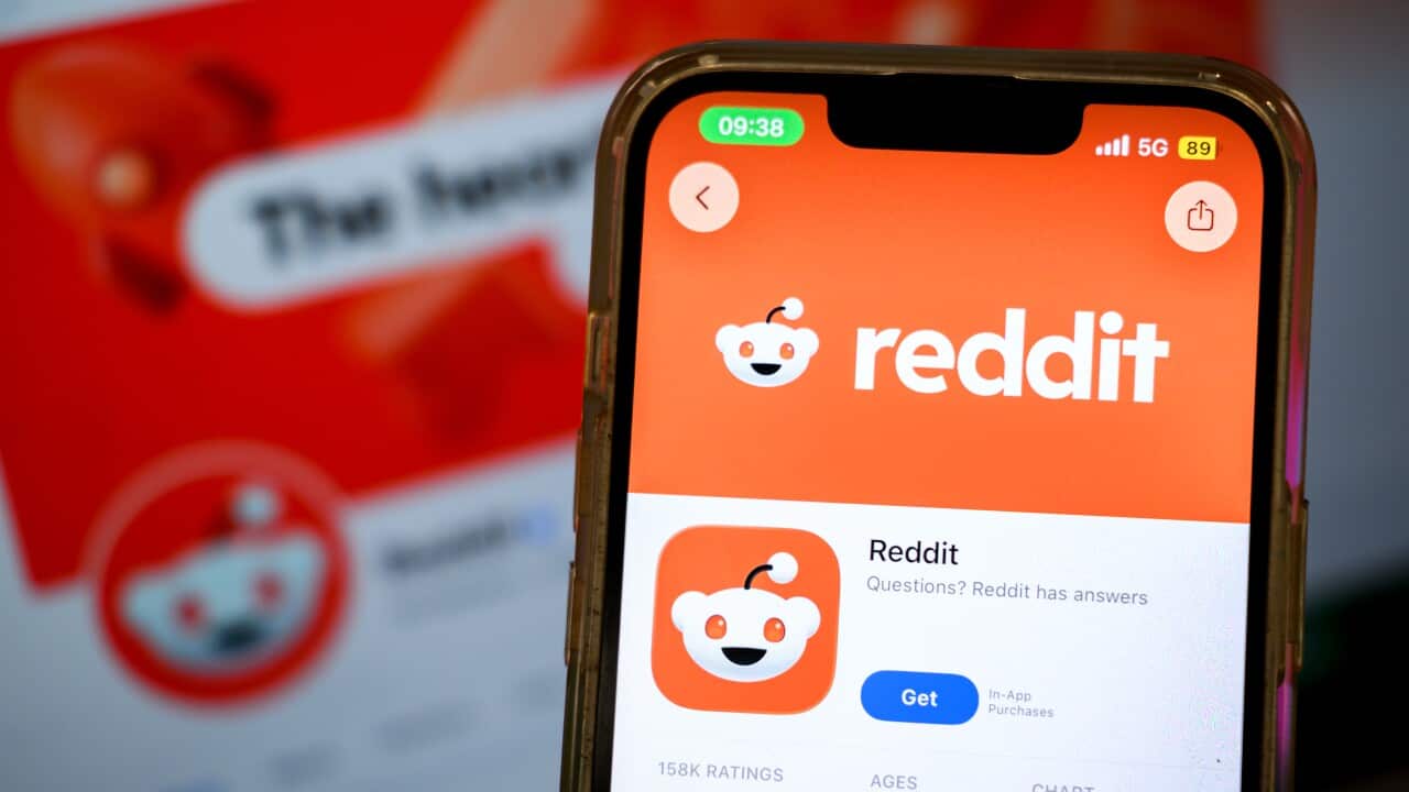 REDDIT STOCK