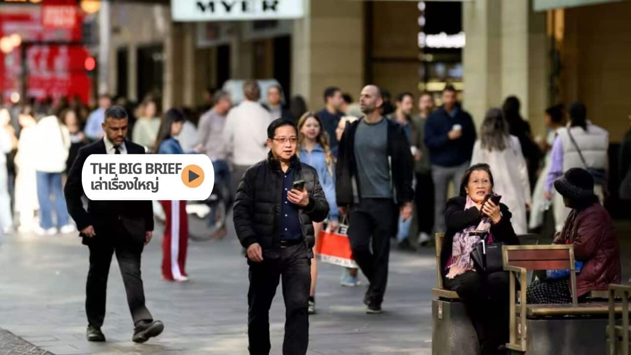 The Big Brief HEADER (1).jpg