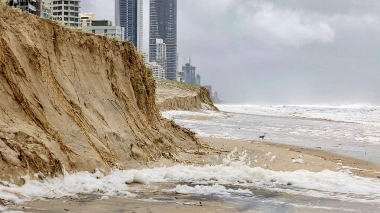 GOLD COAST CLIFF.png