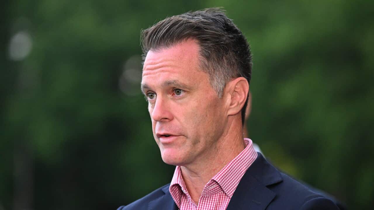 Image for read more article 'اقرأ المزيد:'