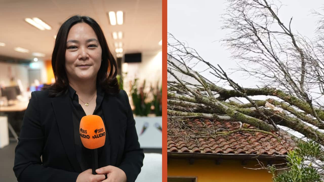 Yujin Jung (1).png