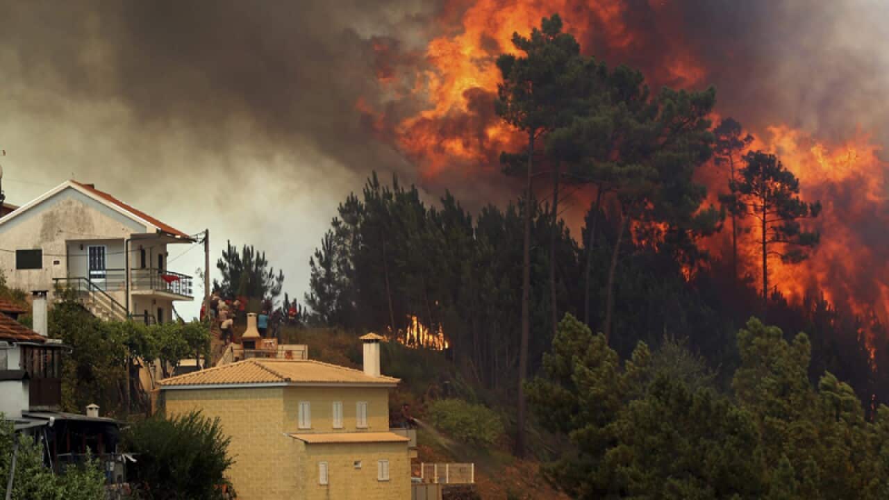 A forest fire in Celadinha