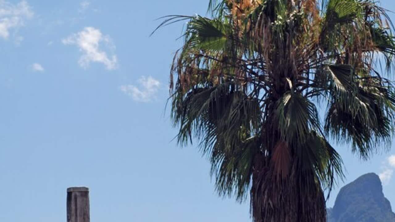 A view of Mount Warning in northern NSW