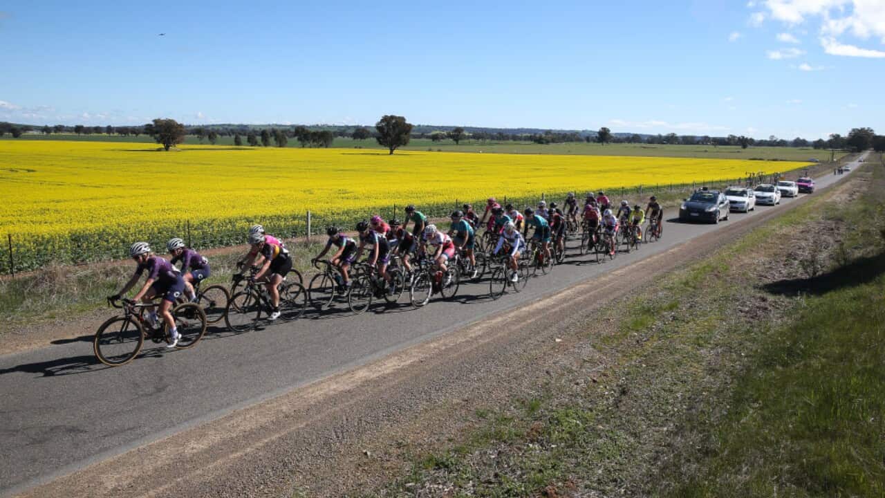 The NRS will have a virtual calendar of racing on Zwift