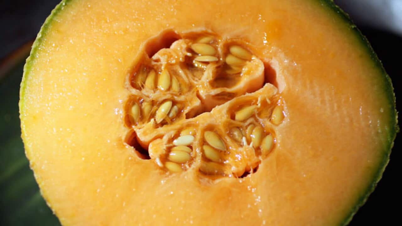 Cantaloupe_infected_b_111005_Getty_1894792382