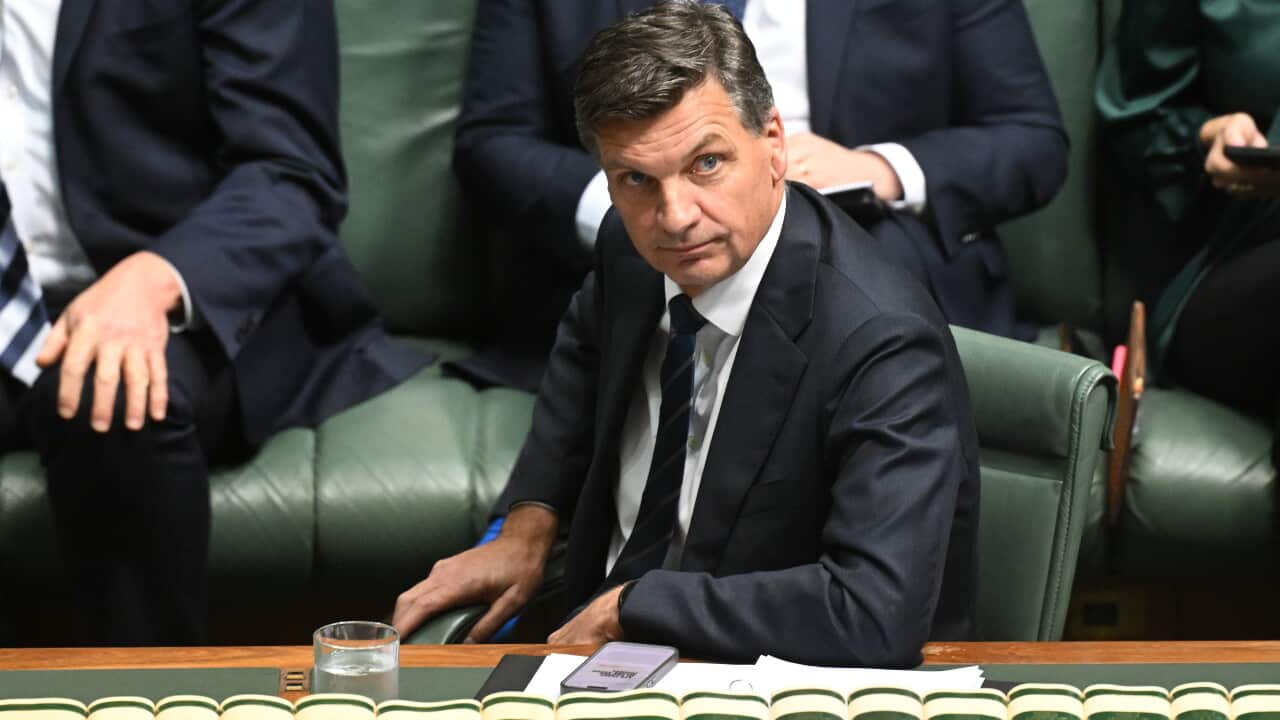 Opposition leader Angus Taylor reacts during Question Time in the House of Representatives at Parliament House in Canberra.