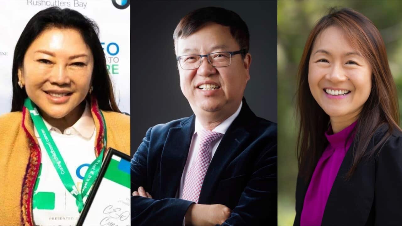 Image for read more article ''