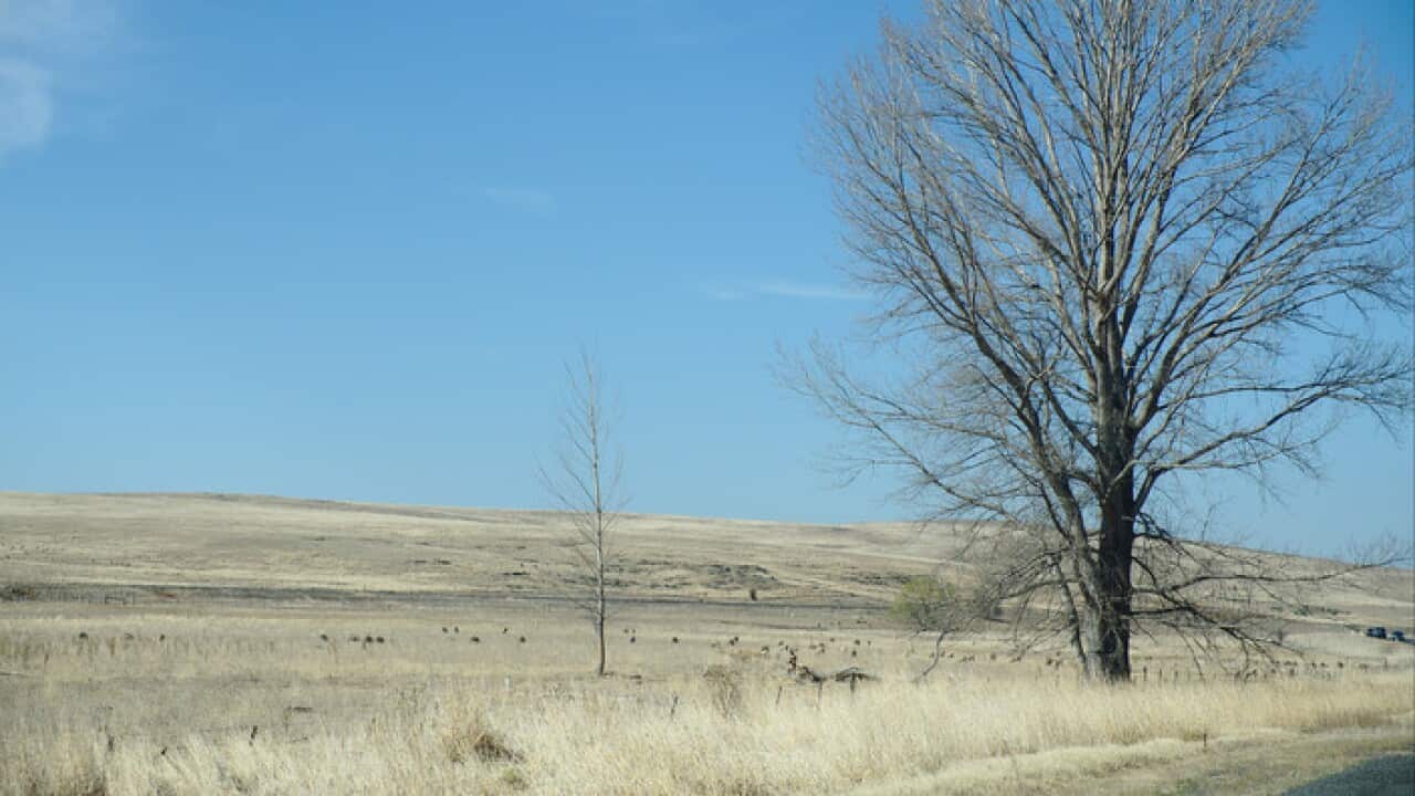 Winter drought in Bunyan, NSW, Australia