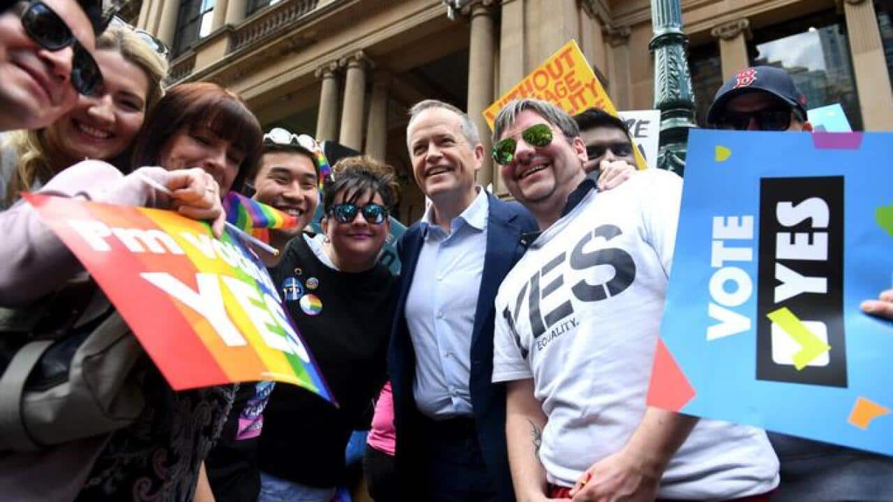 Opposition Leader Bill Shorten at Sydney same-sex marriage rally