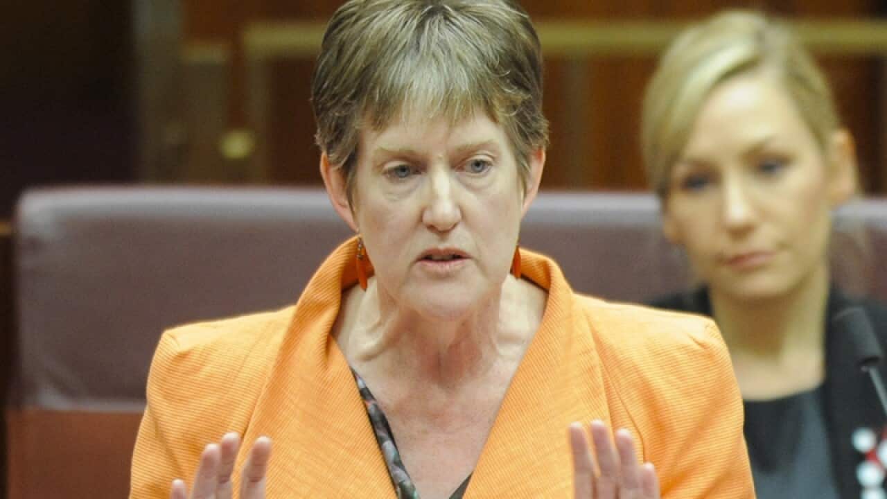 Australian Greens Senator Penny Wright.