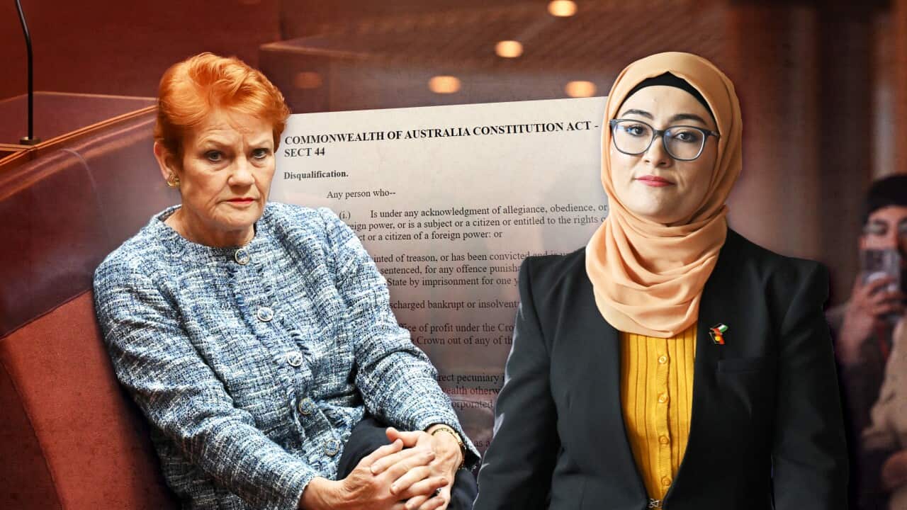 Explained: Pauline Hanson, Fatima Payman, and the Constitution's Section 44 | SBS News