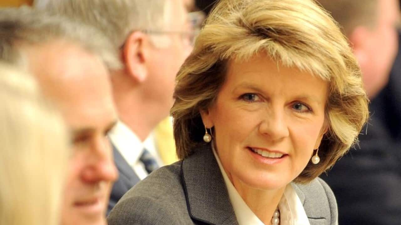 A deputy party leader since 2007, could Julie Bishop's time have finally arrived?