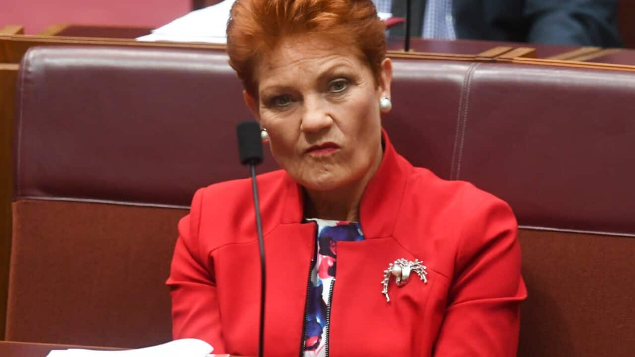 One Nation leader Senator Pauline Hanson during Senate Question Time in the Senate chamber at Parliament House in Canberra, Thursday, March 22, 2018.