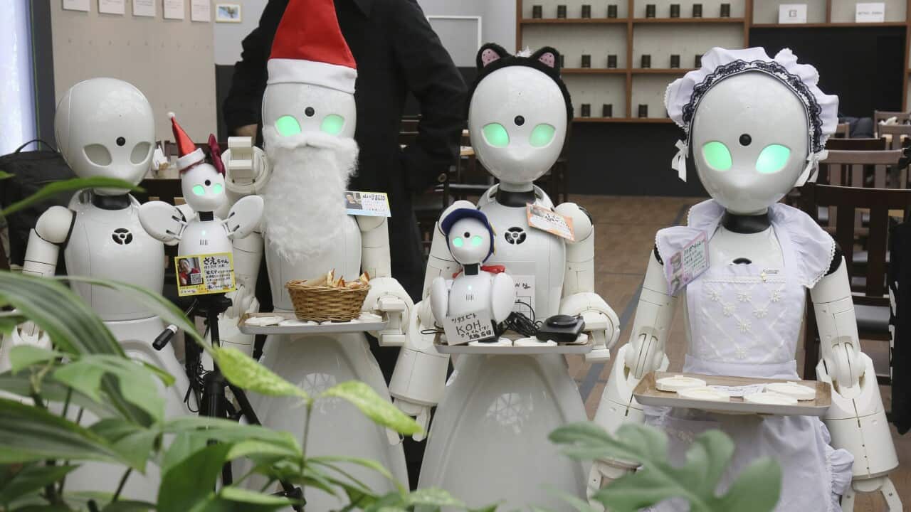 OriHime-D robots serve customers at the "Avatar Cafe DAWN in Tokyo, Japan.