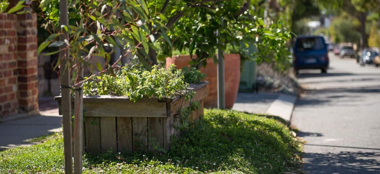 It might be tempting, but can you pick fruit from someone else's garden in Australia?