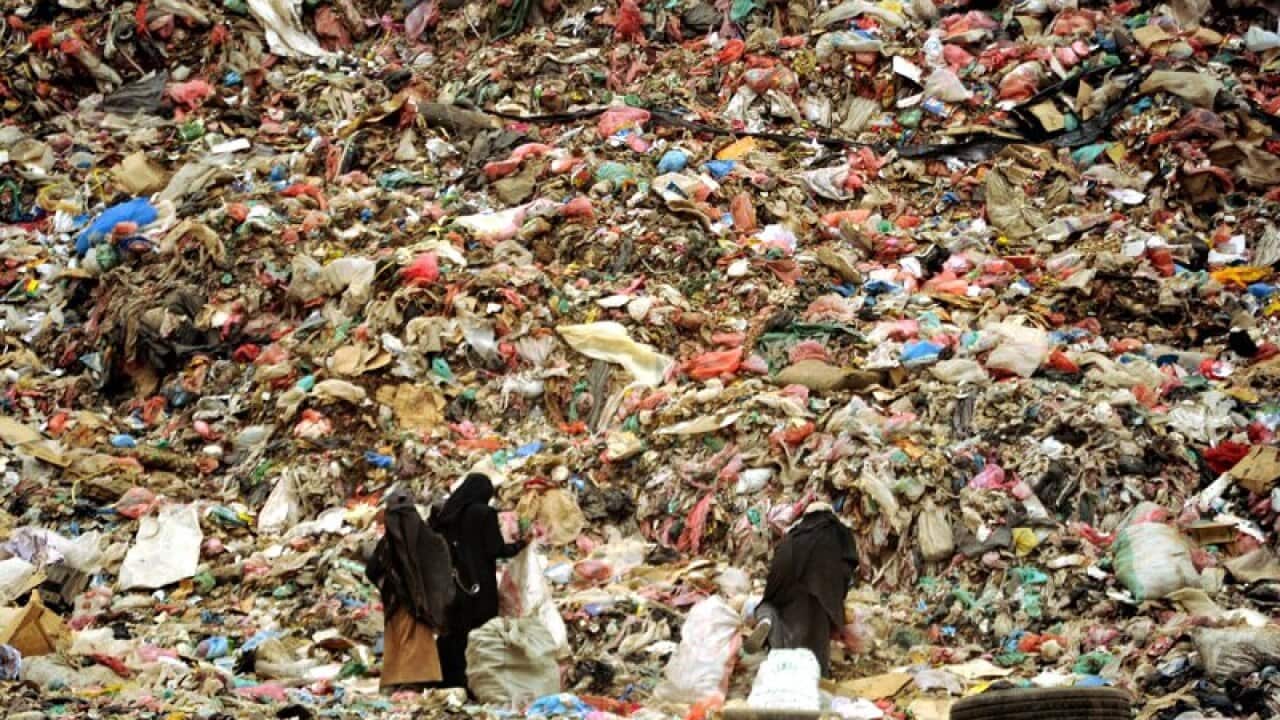 The World Environment Day is held each year on June 5, in which the UN stimulates worldwide awareness of the environment