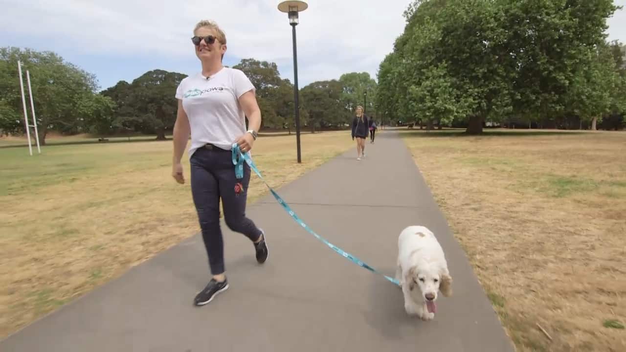 A Mad Paws pet-sitter takes a dog for a walk.