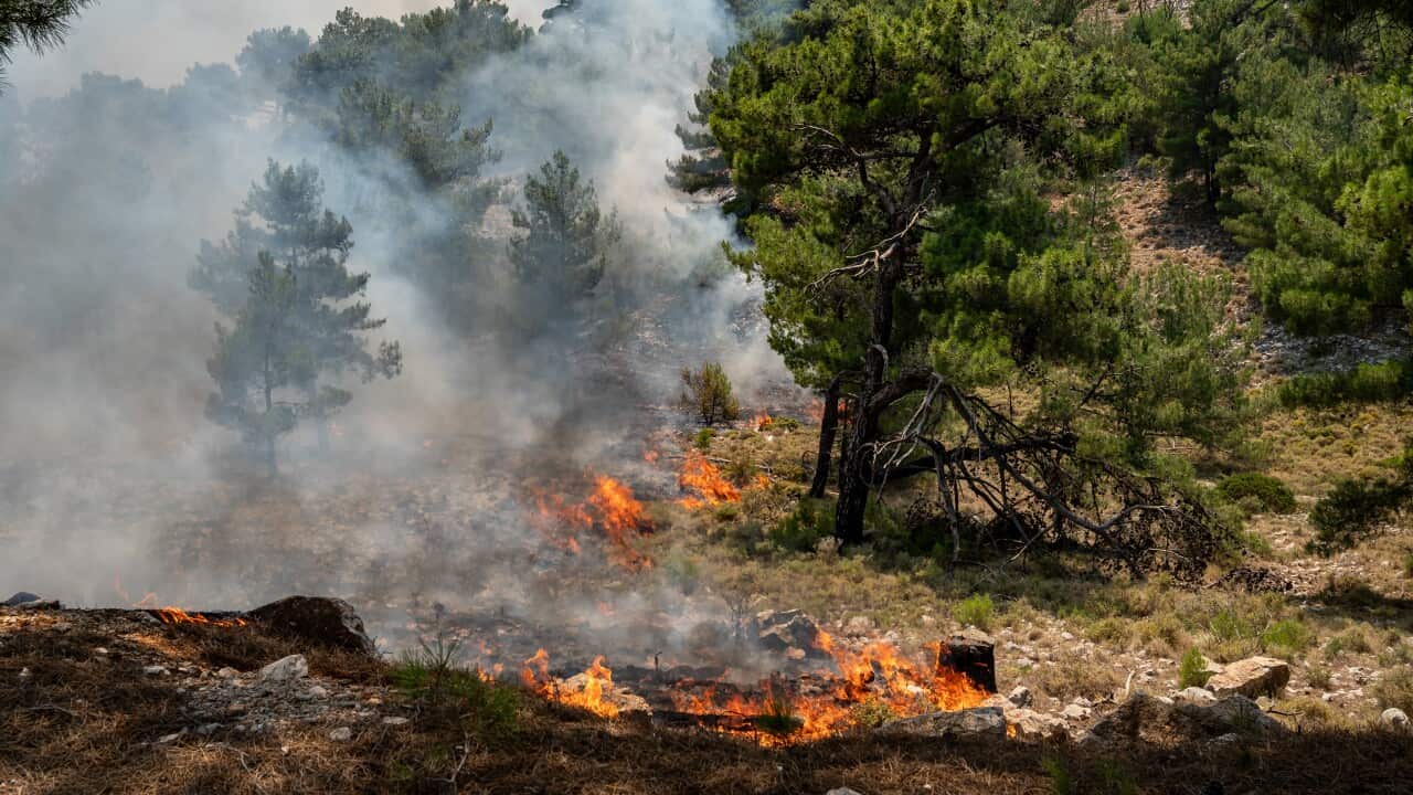 Wildfires continue to rage on Greek island of Chios