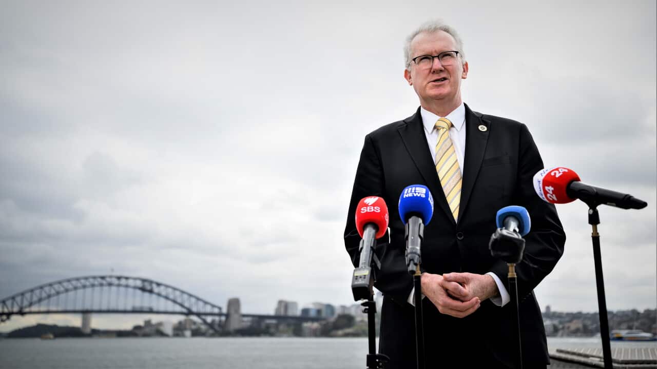 Humanitarian visas slashed: What we know so far about Labor's migration reforms