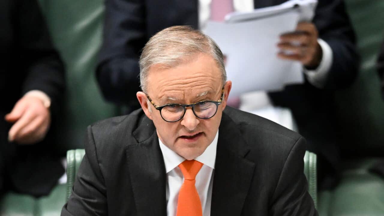Anthony Albanese in a black suit and an orange tie.