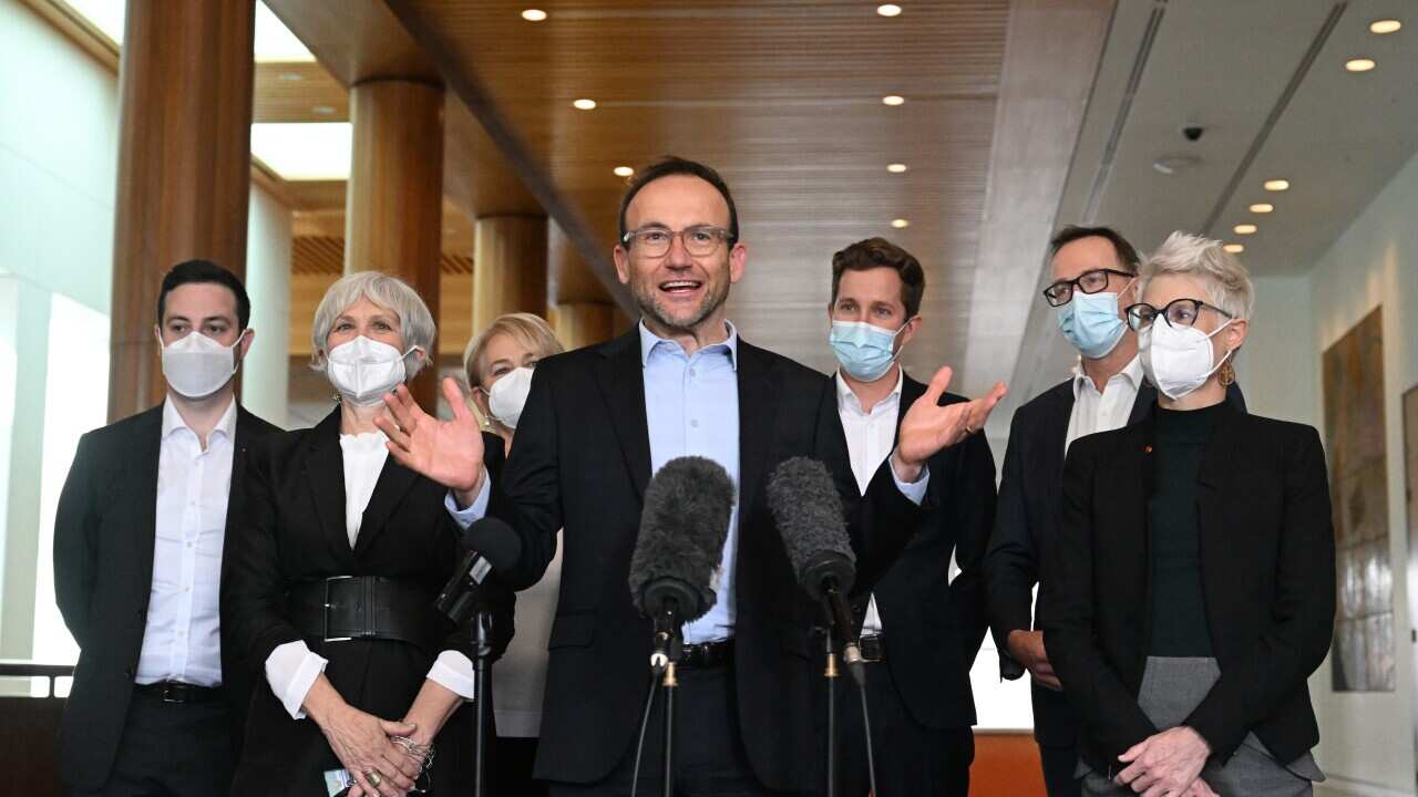 GREENS ADAM BANDT PRESSER