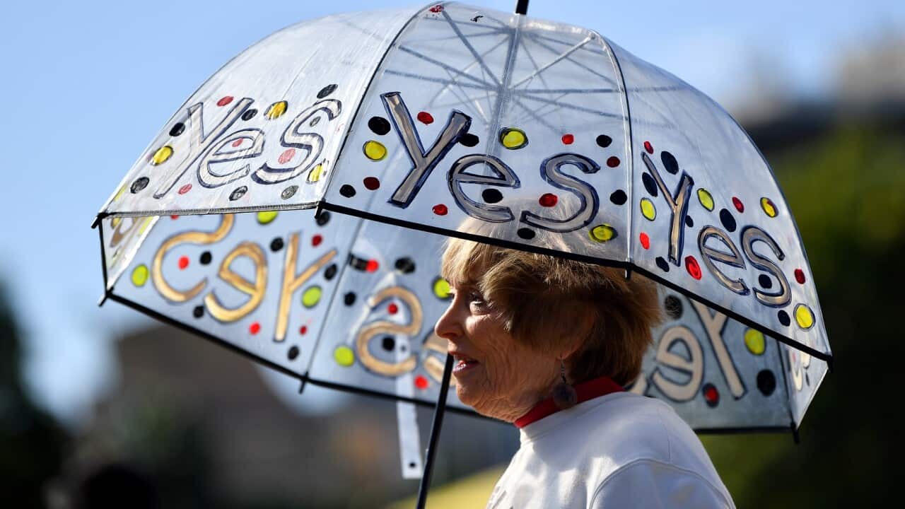 YES 23 VOICE CAMPAIGN SYDNEY