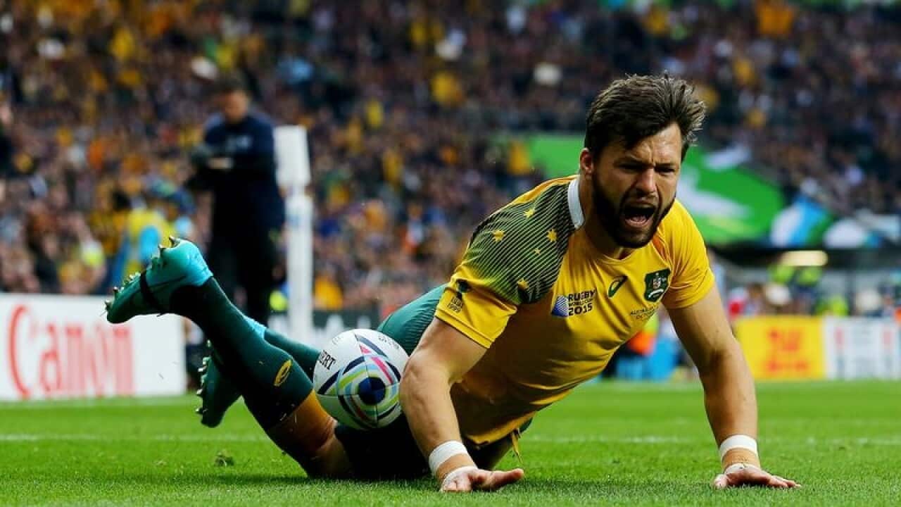 Adam Ashley-Cooper in action