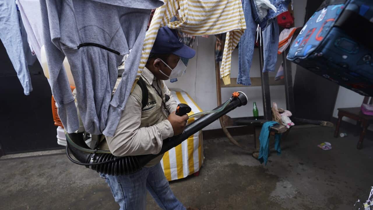 Image for read more article ''