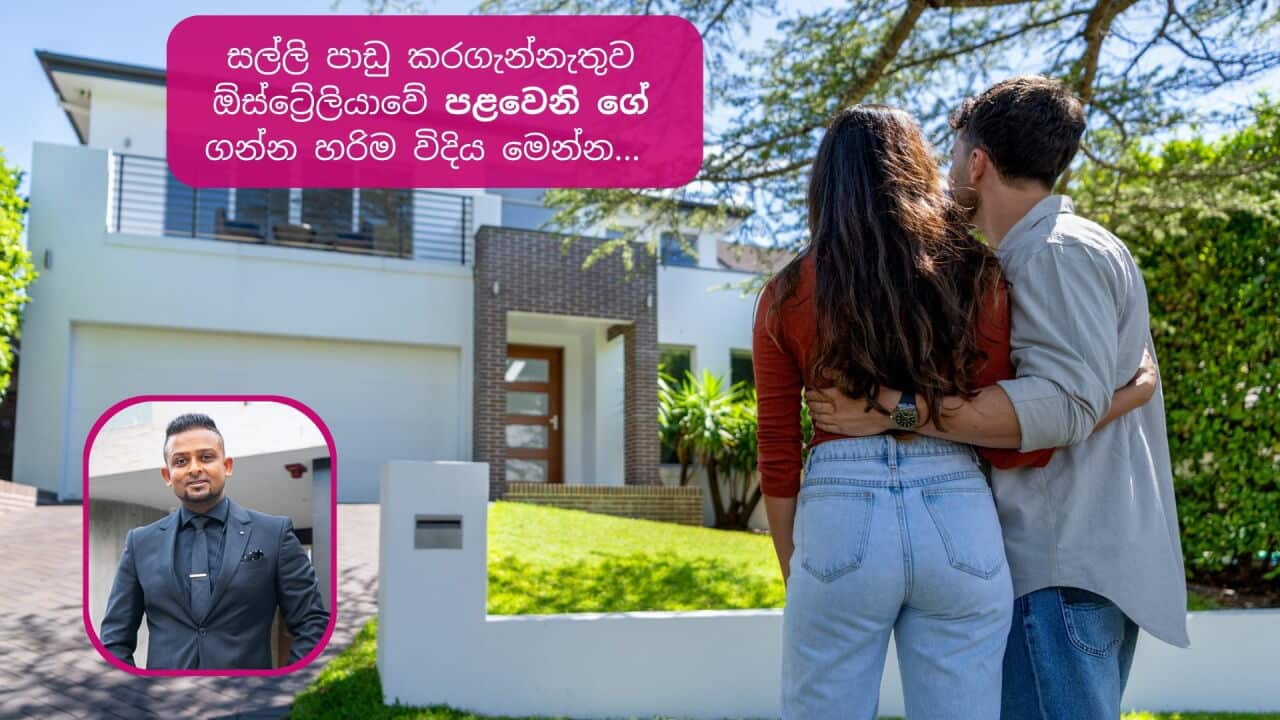SBS SInhala Image (10).jpg