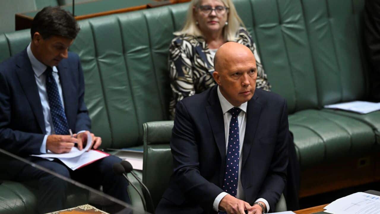 Image for read more article 'READ MORE'