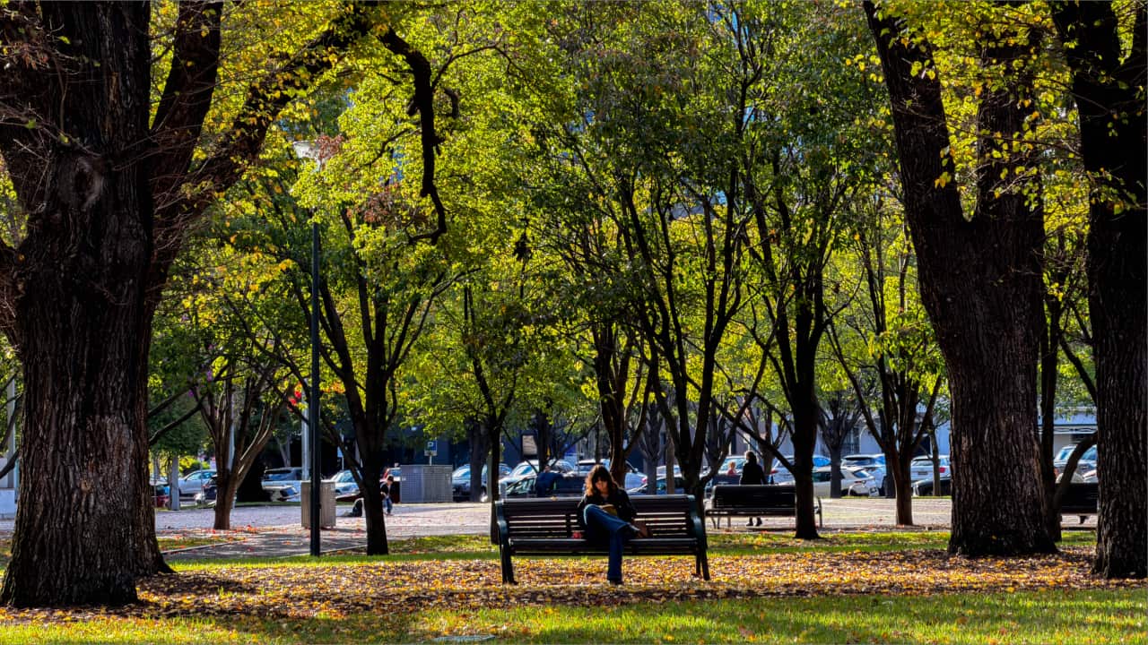 Weather_Melb_by_Abhas_Parajuli.png