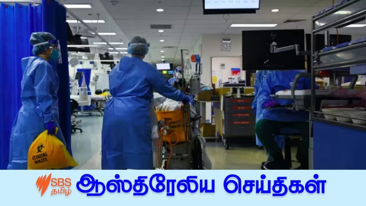 News 08 Feb.jpg