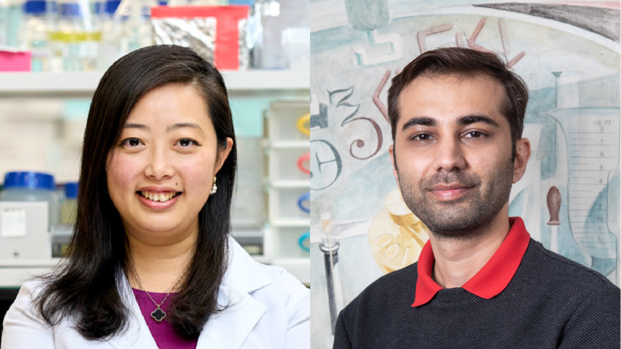 Image for read more article 'READ MORE'