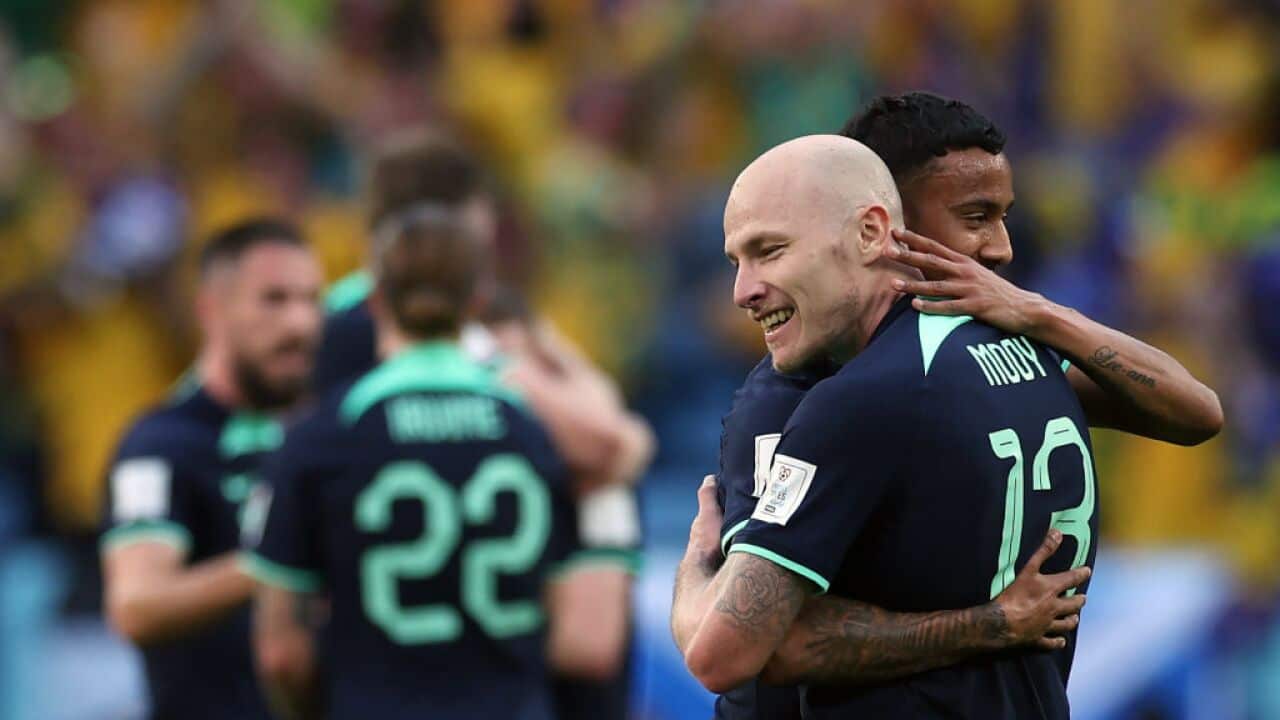 Tunisia v Australia: Group D - FIFA World Cup Qatar 2022