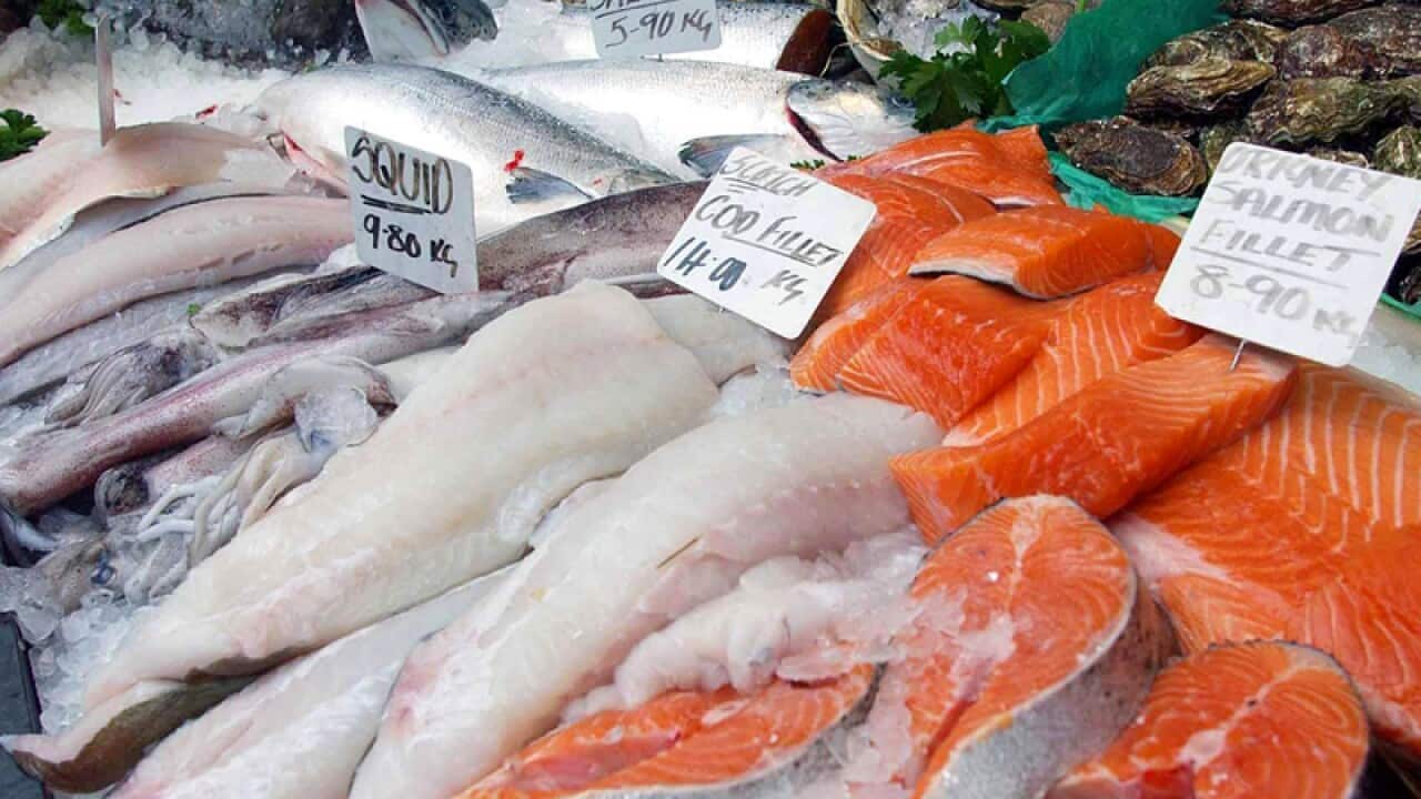 Fish on sale at a local fish market
