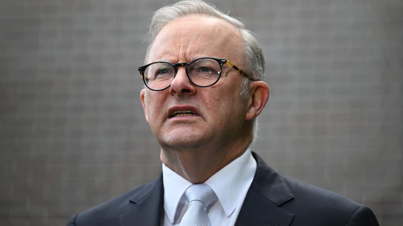 Prime Minister Anthony Albanese, wearing a suit, tie and glasses, is speaking.