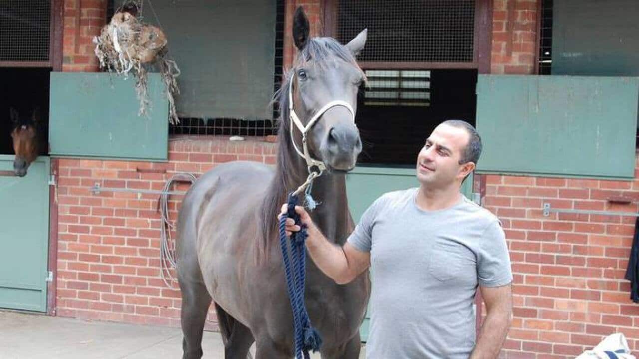 Horse Tainer Sabri Hasan
