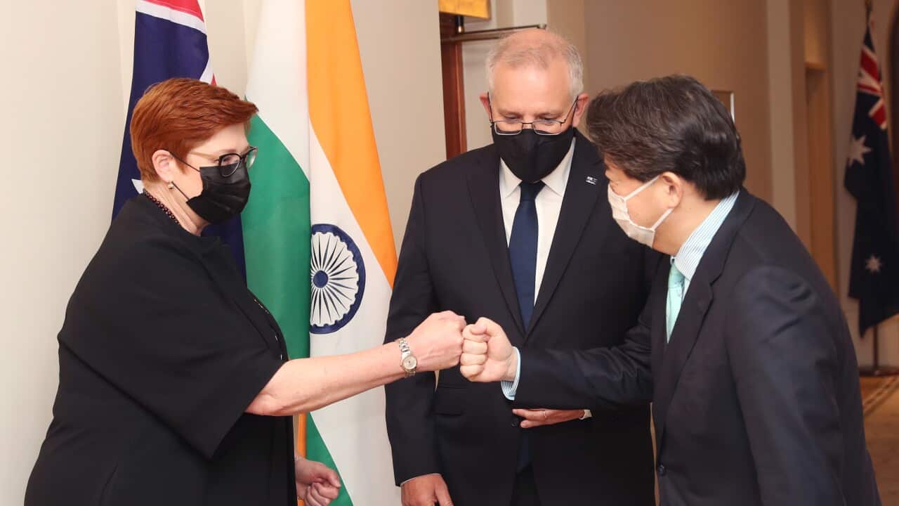 Australia Pacific presence is growing says Payne ahead of Quald talks