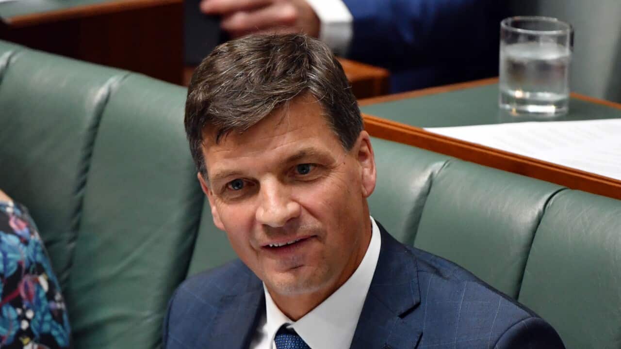 Energy Minister Angus Taylor during Question Time