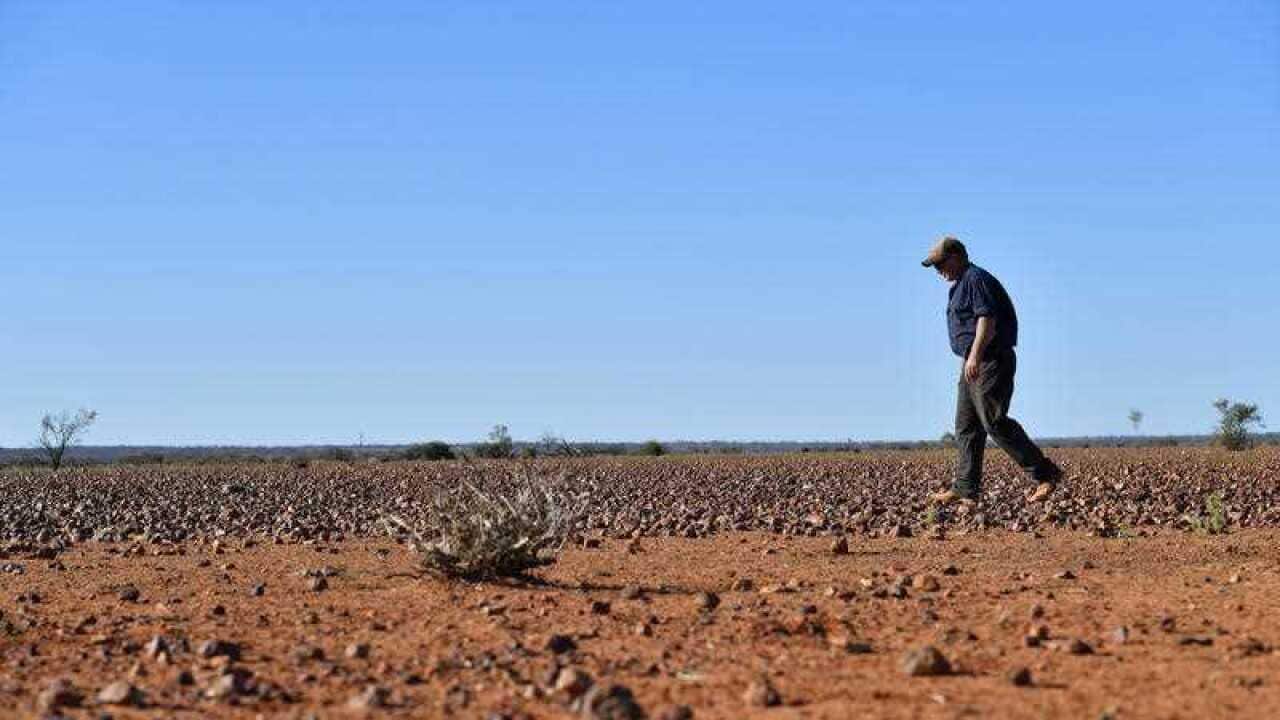 A drought affected property in New South Wales.