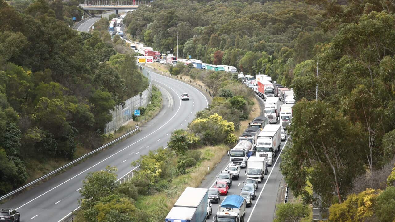 Delays at the NSW-Queensland border amid a tightened compliance operation.